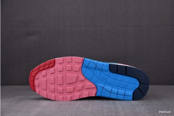 Parra Air 1 Nike (2018) AT3057-100 Max 0831